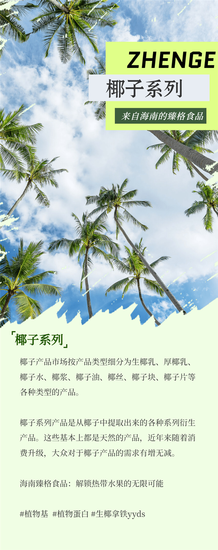 1704787472117209.jpg 8.jpg